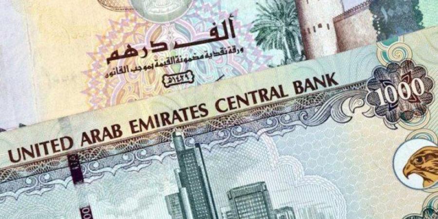 سعر الدرهم الإماراتي مقابل الجنيه المصري اليوم السبت 31 مايو 2025 وفقا لآخر تحديث
