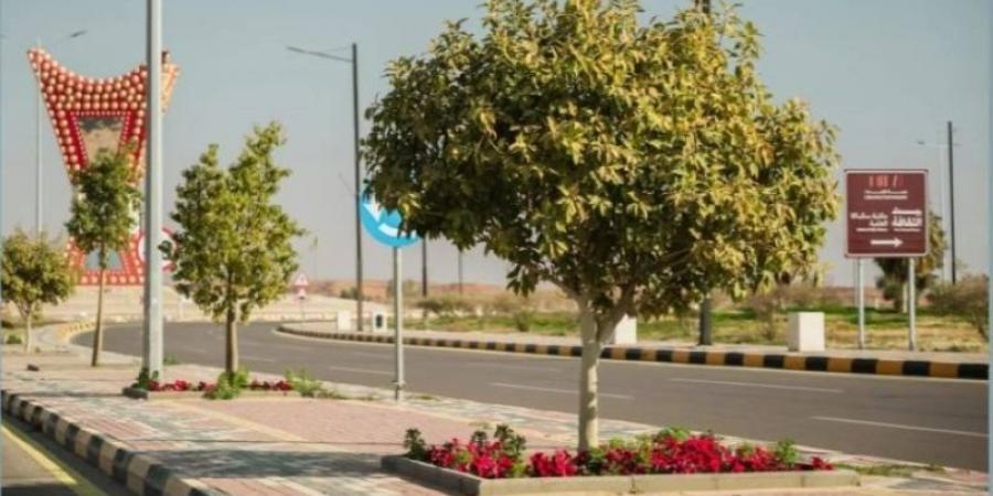 أمانة الجوف تزرع أكثر من (55800) شجرة في (5) بلديات فرعية