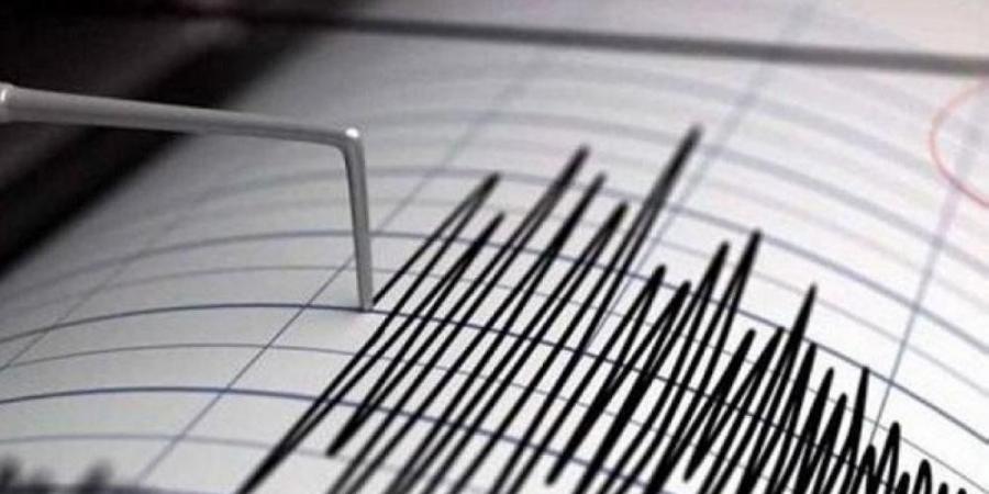 هزة أرضية بقوة 4.5 درجة تضرب الأرجنتين