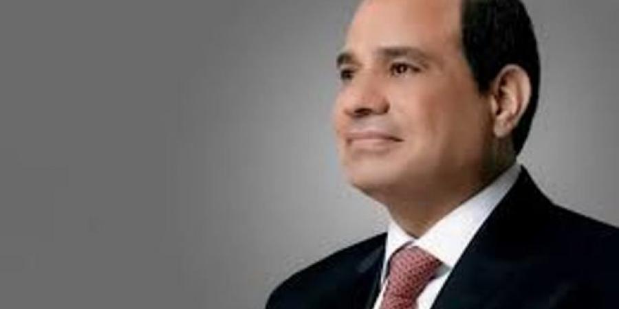 الرئيس السيسى يوجه بضرورة مواصلة العمل على تعظيم العائد من أصول الدولة