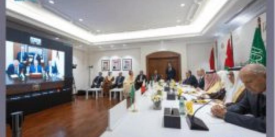 اللجنة الوزارية بشأن غزة تبحث مع الرئيس الفلسطيني جهود وقف العدوان والتحضير لمؤتمر دولي لحل الدولتين