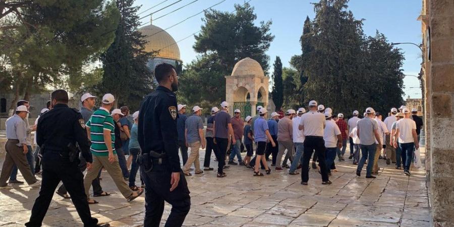 الأردن يدين اقتحام المستوطنين المسجد الأقصى وما رافقه من ممارسات تستهدف تدنيسه