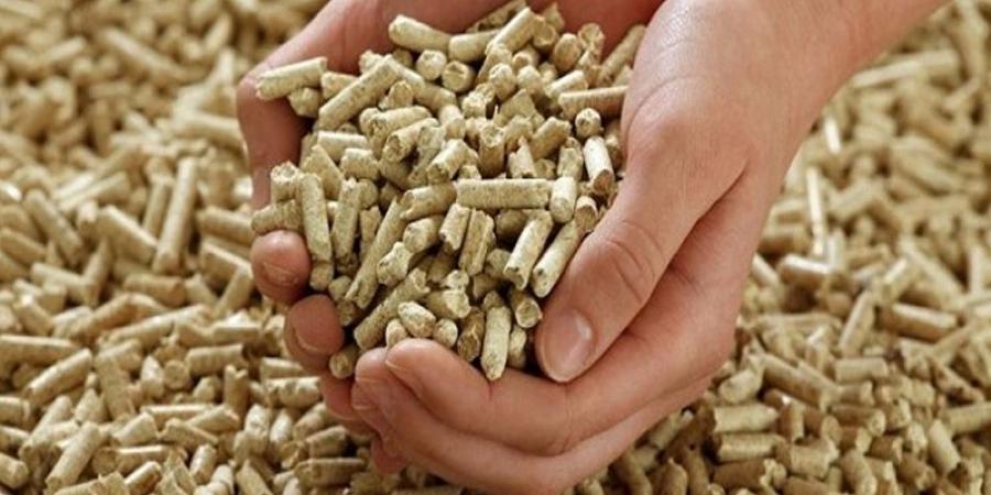 زووم على الفلاحة ..إجراءات لفائدة منتجي الأعلاف الخشنة ومربي الماشية