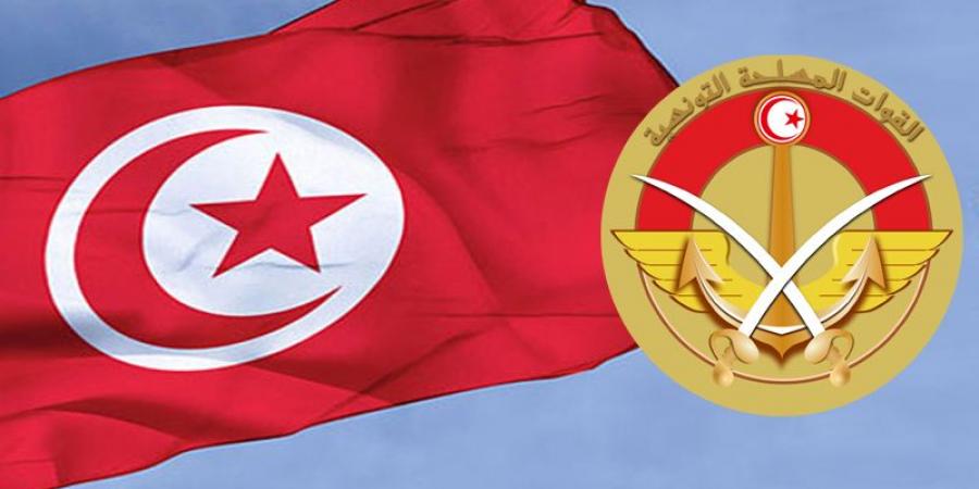 التمديد في نشر فيلق مشاة خفيف وسرية تدخل سريع تونسيين تحت راية الأمم المتحدة في إفريقيا الوسطى