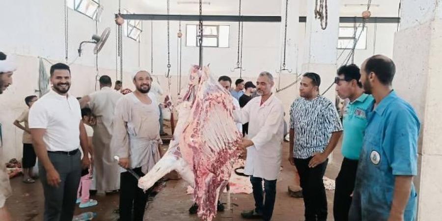 متابعة الذبح بمجزر القصير والتأكيد على توافر الخدمات للمواطنين 