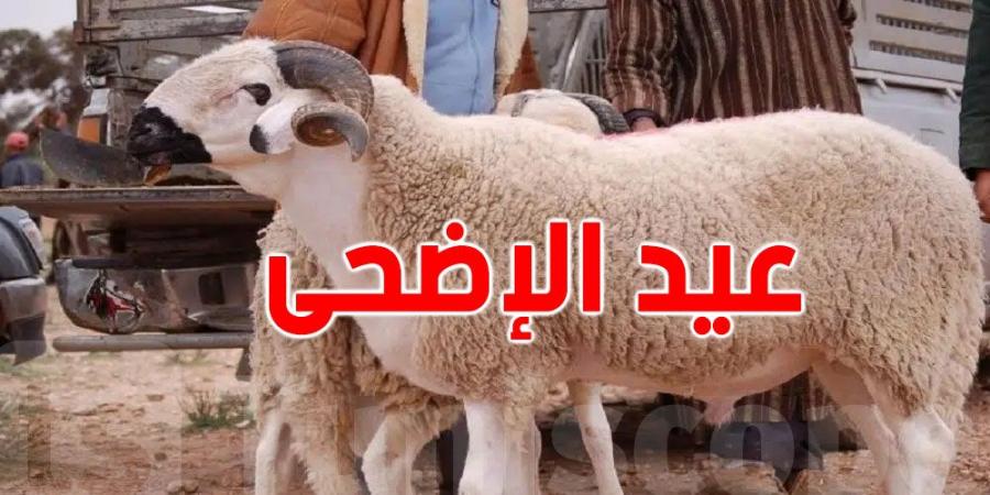 هل لاحظت''رعشة لحم العلوش'' بعد النحر؟ إليك التفسير العلمي والديني لهذه الظاهرة