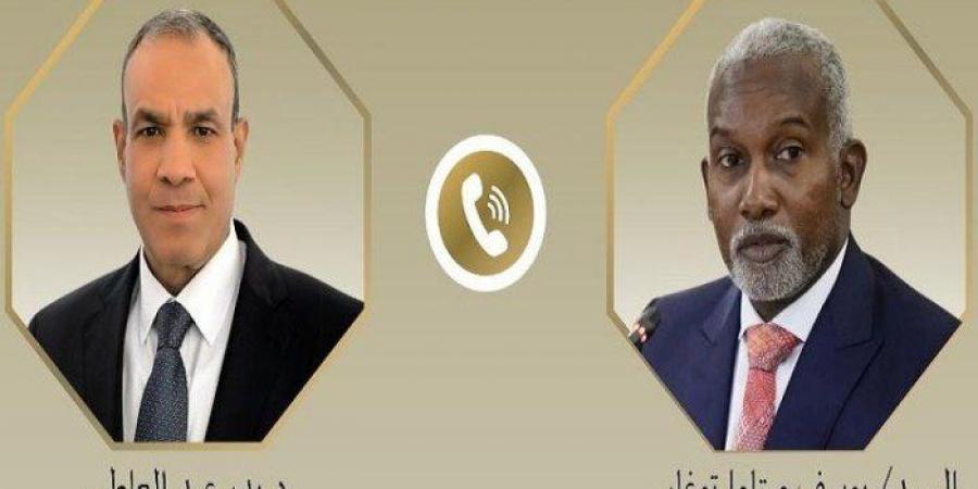 مصر ونيجيريا تبحثان سبل تعزيز العلاقات المشتركة