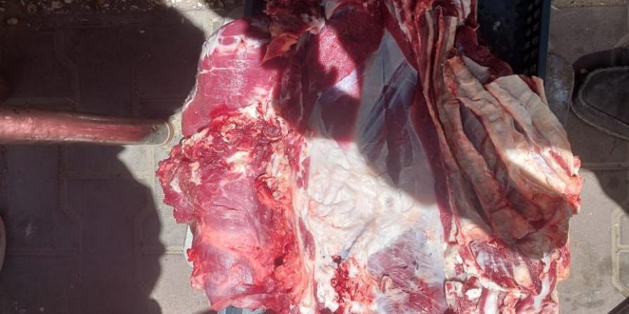 محافظ أسيوط يعلن ضبط لحوم مذبوحة خارج المجازر الحكومية