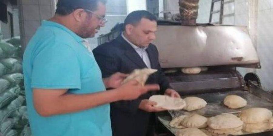 «تموين الإسكندرية» تحرير 14 محضرا ضد المخالفين في ثاني أيام عيد الأضحى المبارك