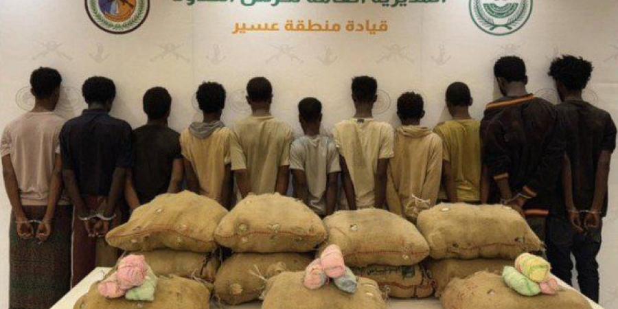 ضبط (11) شخصا لمحاولتهم تهريب كمية من نبات القات المخدر بمنطقة عسير