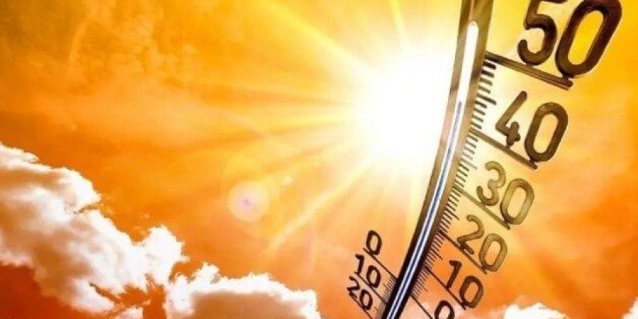 الأرصاد الجوية: موجة حارة تضرب البلاد وشبورة كثيفة تؤثر على الرؤية | فيديو