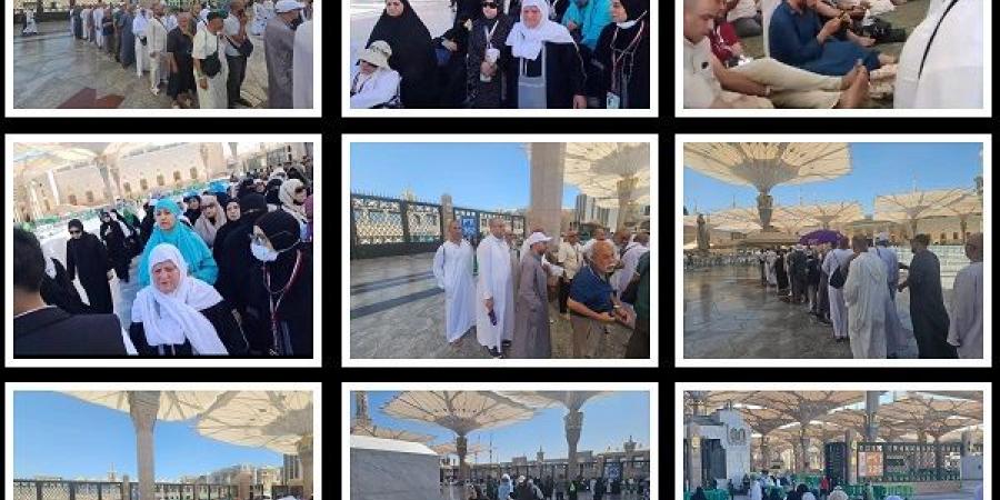 بعثة حج الجمعيات الأهلية تنظم زيارات إلى الروضة الشريفة