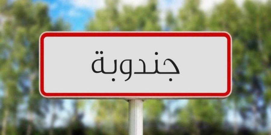 جندوبة: انطلاق أشغال ملتقى "تونس الإيكولوجية"