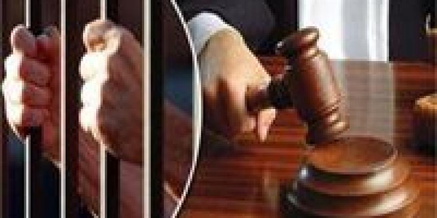 تأجيل محاكمة 61 متهم في قضية اللجان النوعية بالتجمع الخامس لجلسة 20 سبتمبر