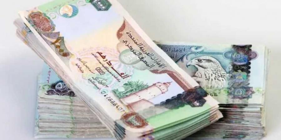استقرار سعر الدرهم الإماراتي مقابل الجنيه المصري اليوم الأحد 15-6-2025