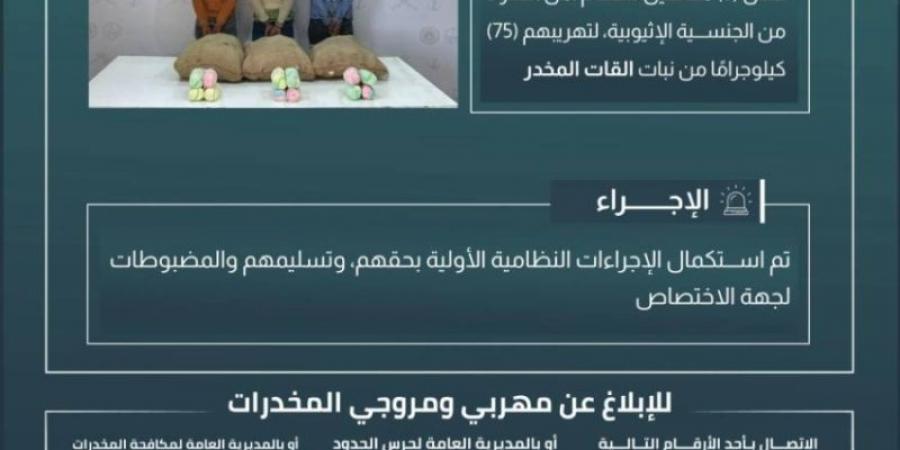 حرس الحدود بعسير يقبض على 3 مخالفين لنظام أمن الحدود لتهريبهم 75 كيلوجرامًا من نبات القات المخدر