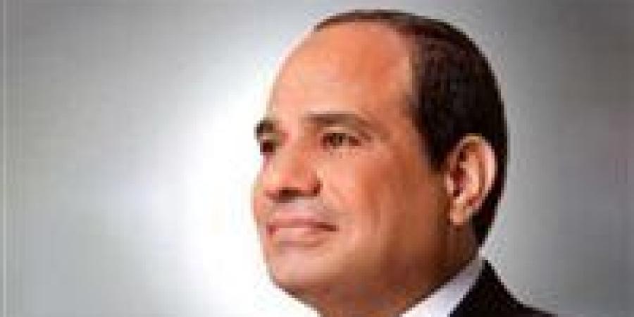 الرئيس السيسي يبحث مع مؤسسة التمويل الدولية تعزيز الاستثمار ودعم القطاع الخاص في مصر