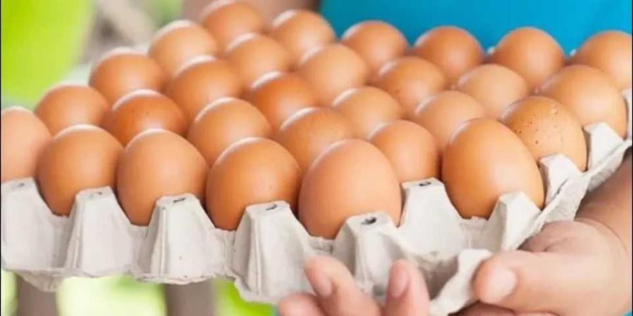 أسعار البيض في مصر اليوم الأحد 15 يونيو 2025