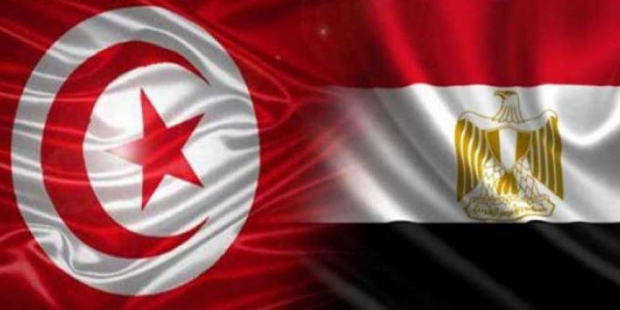 عاجل/ وزير الخارجية يتلقّى إتّصالا من نظيره المصري