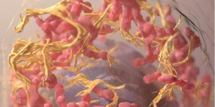 اكتشاف مذهل.. أدوية مضادة للاكتئاب قد تكون سلاحًا فعالاً ضد السرطان