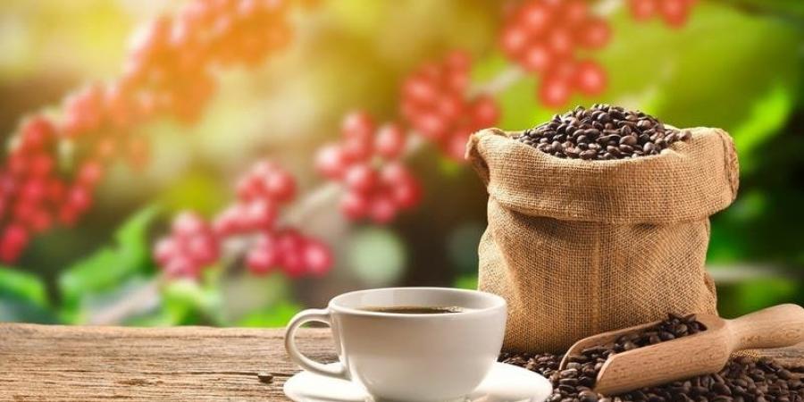 مُفاجأة | دراسة يابانية تكشف علاقة "القهوة والأرز" بـ"صحة القلب"