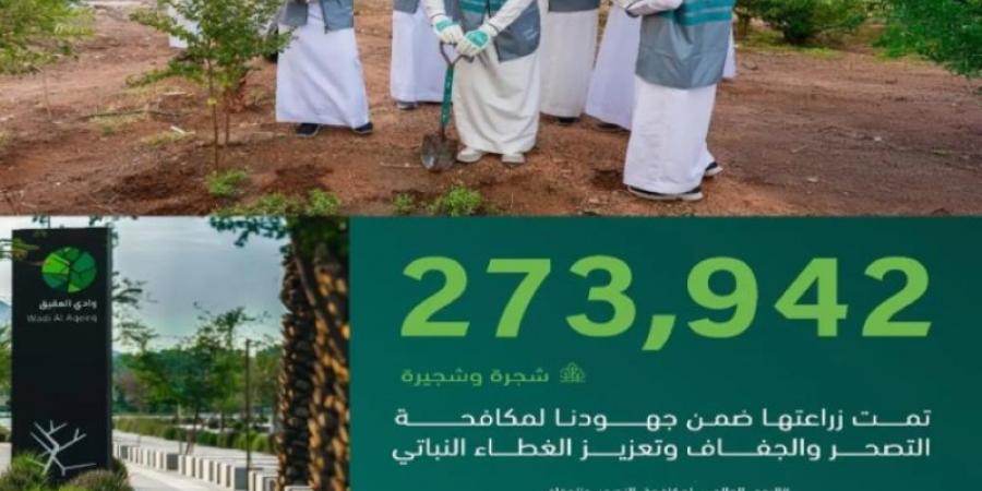 زراعة 273 ألف شجرة في المدينة المنورة ضمن جهود مكافحة التصحّر وتنمية الغطاء النباتي
