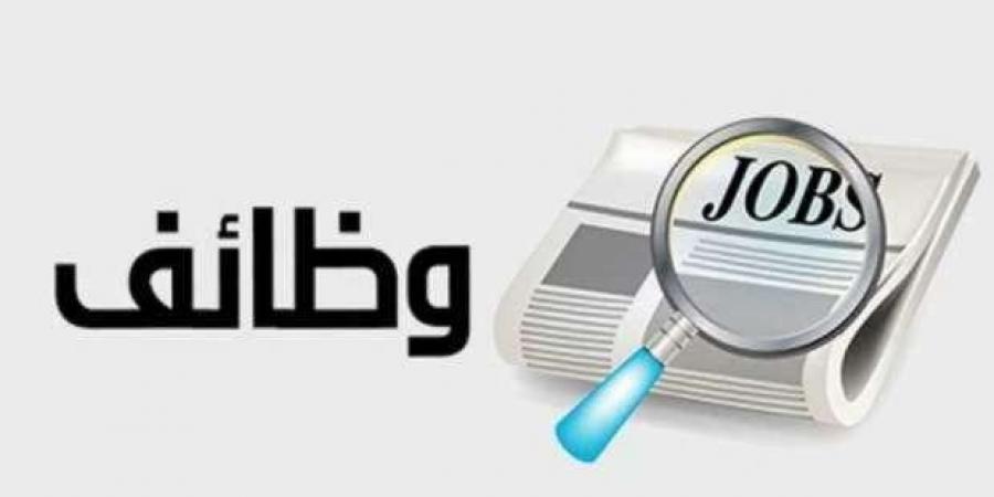 بمرتبات تصل لـ 12 ألف جنيه.. فرص عمل جديدة للشباب بالإسماعيلية
