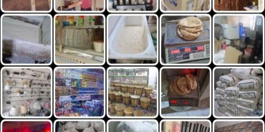تحرير 370 محضرا ومخالفة تموينية خلال حملات مكثفة بالقليوبية