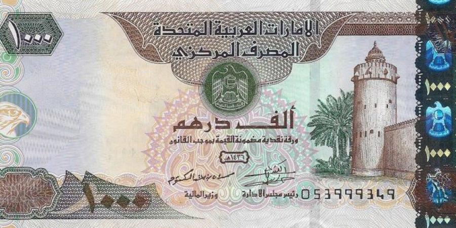 سعر الدرهم الإماراتي مقابل الجنيه اليوم الأربعاء 18 يونيو 2025