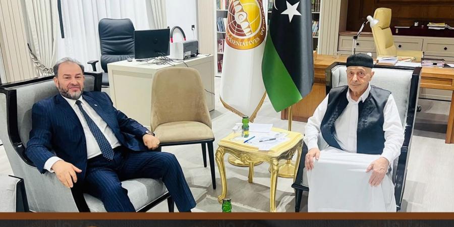 جهود لتوحيد المؤسسات: المستشار صالح والعبيدي يناقشان تشكيل حكومة جديدة تقود الانتخابات