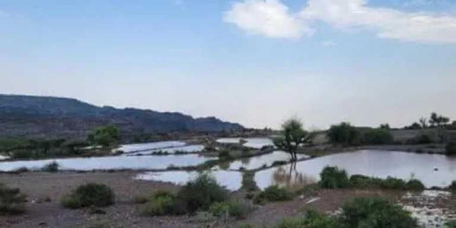 تعز تشهد أمطارًا غزيرة وسيولًا تشل الحركة المرورية