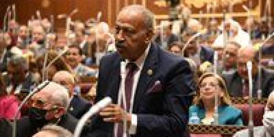 النائب هاني العسال: مكافحة ظاهرة التنمر والعنف داخل المدارس أهم أولويات ملفات وزارة التربية والتعليم