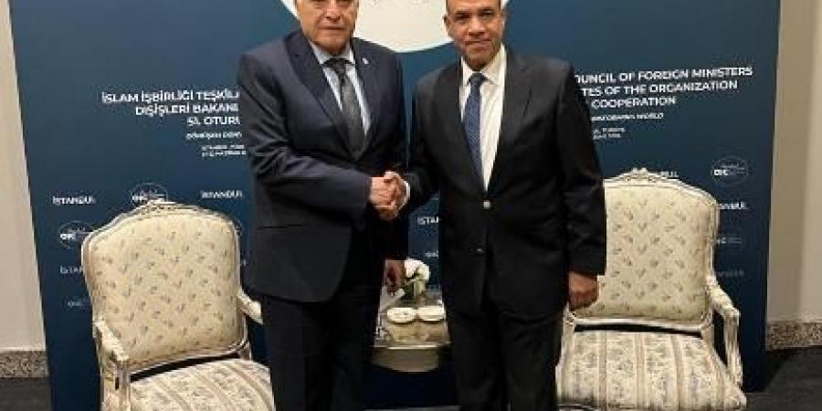 مصر والجزائر تؤكدان على الصداقة التاريخية وتبحثان سبل تعزيز التعاون الاقتصادي وتهدئة الأوضاع الإقليمية