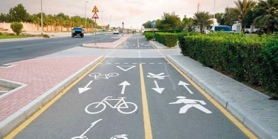 560 كم إجمالي أطوال مسارات الدراجات الهوائية في دبي