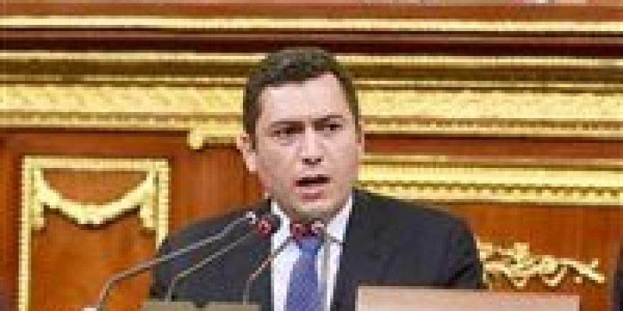 برلماني: مصر تضع أمن المنطقة فوق كل اعتبار وتتمسك بالحلول السياسية والدبلوماسية