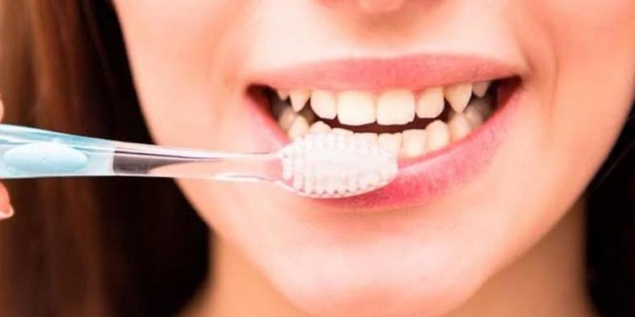 فرشاة مبللة... السر وراء تنظيف لطيف وفعّال للأسنان