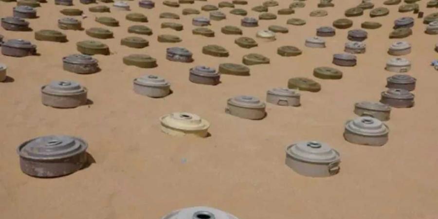 مسام يعلن انتزاع أكثر من 1200 لغم وقذيفة خلال أسبوع