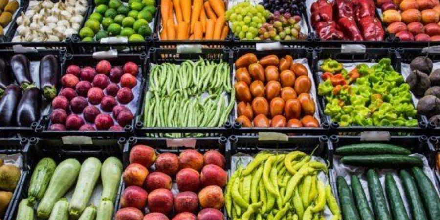 أسعار الخضروات والفاكهة في سوق العبور اليوم الثلاثاء 24 يونيو 2025