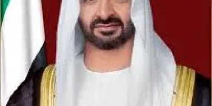 لتحقيق الاستقرار بالمنطقة .. الإمارات والنمسا تبحثان التطورات الإقليمية
