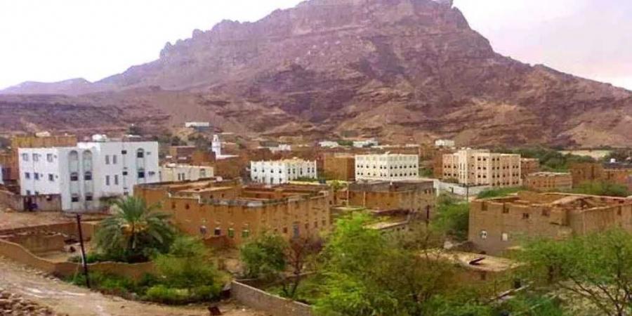 شاب يباغت آخر بطعنة في البطن بسكين جنوبي اليمن