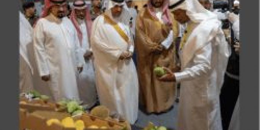 انطلاق مهرجان المانجو الرابع في أملج بمشاركة 35 مزارعًا