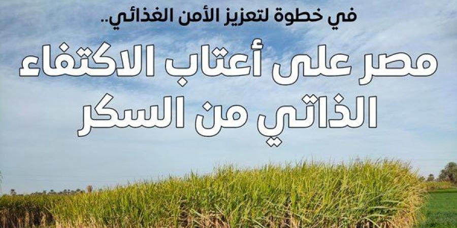 الحكومة: مصر لن تكون بحاجة لاستيراد السكر بدءًا من 2026