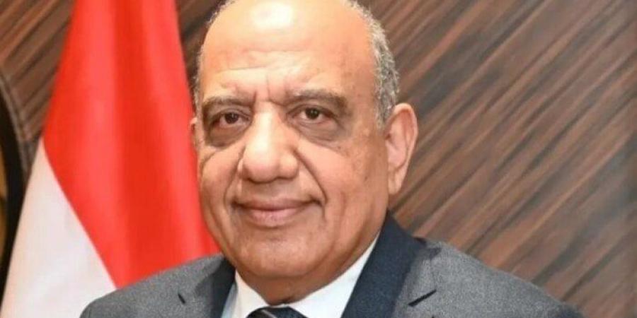وزير الكهرباء يبحث مع «شركة صينية» إنشاء مصنع لبطاريات تخزين الطاقة في مصر