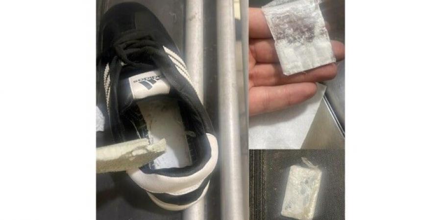 قوى الأمن: توقيف مواطنة حاولت تهريب مواد مخدرة إلى أحد السجناء