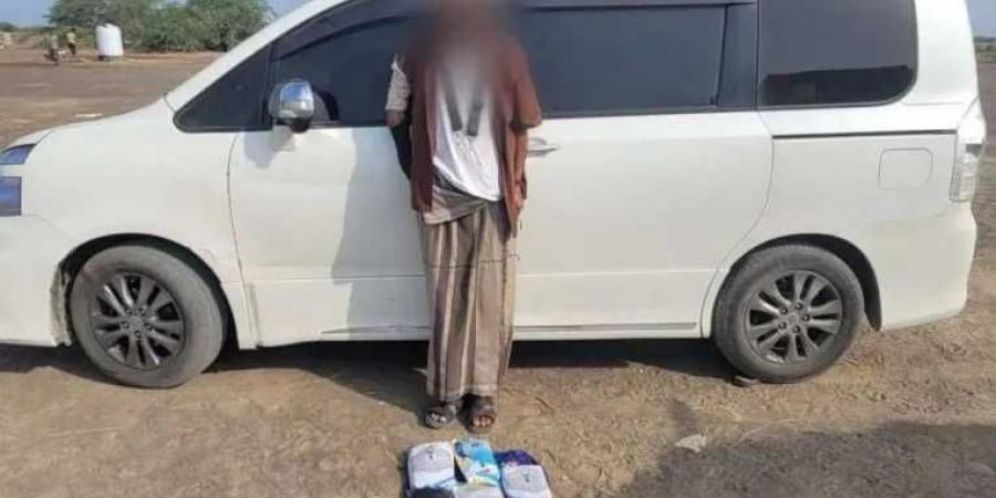 قوات الحزام الأمني الساحلي في أبين تضبط متهمًا بحيازة 5 كيلوغرامات من مادة الحشيش المخدر