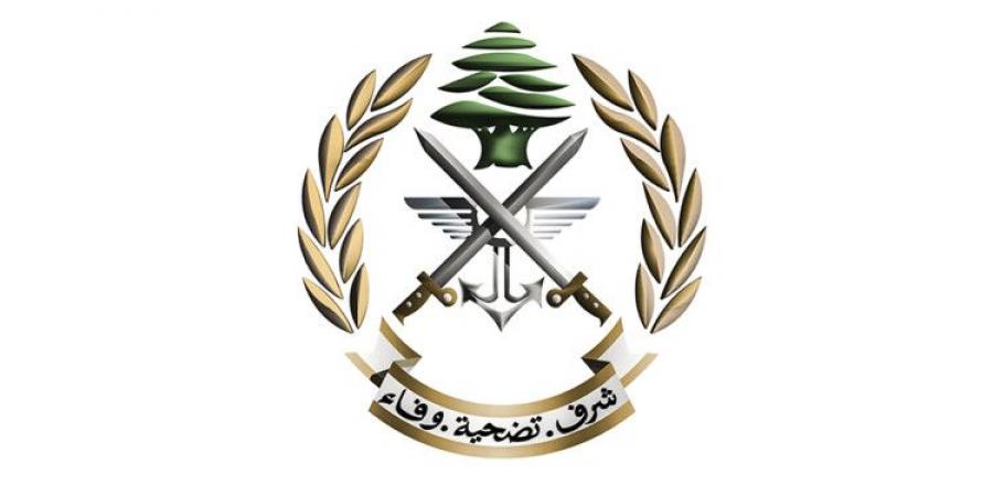 الجيش: تفجير ذخائرغير منفجرة في بلدة شمع