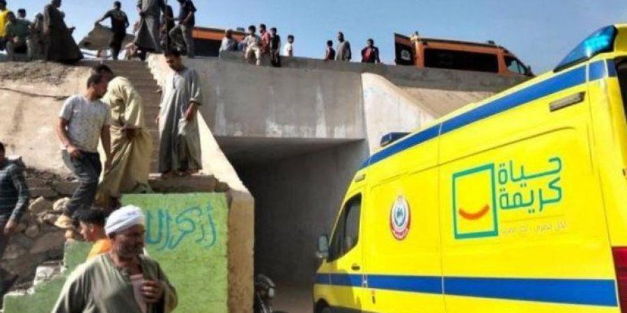 مصر.. مصرع 14 شخصًا وإصابة آخرين في حادث مروّع على الطريق الإقليمي