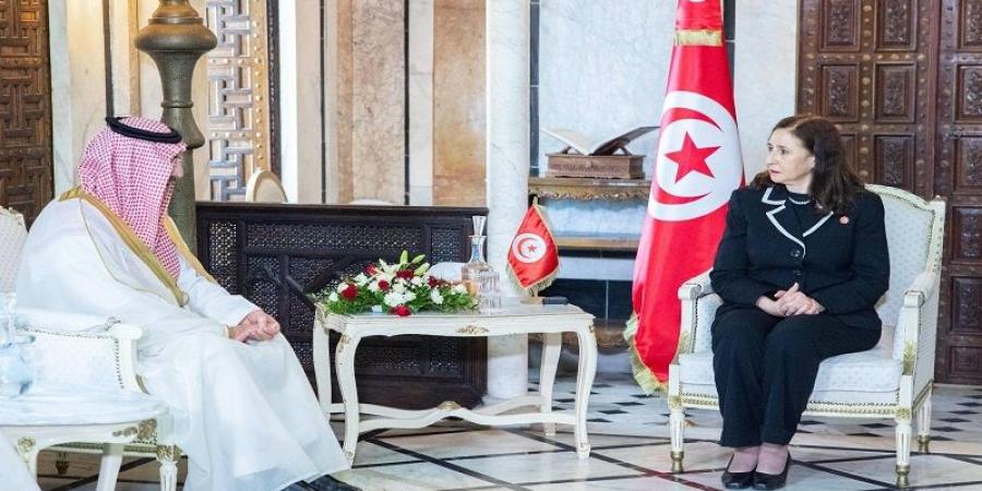 الرئيس التنفيذي للصندوق السعودي للتنمية.. مستعدون لتنفيذ عديد من المشاريع التنموية في تونس